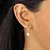 3.12 TCW Round Cubic Zirconia Drop Earrings in 14k Gold over Sterling Silver-13 at PalmBeach Jewelry
