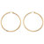 Polished Tubular Hoop Earrings in Gold Tone over Sterling Silver (2 3/4")-12 at PalmBeach Jewelry