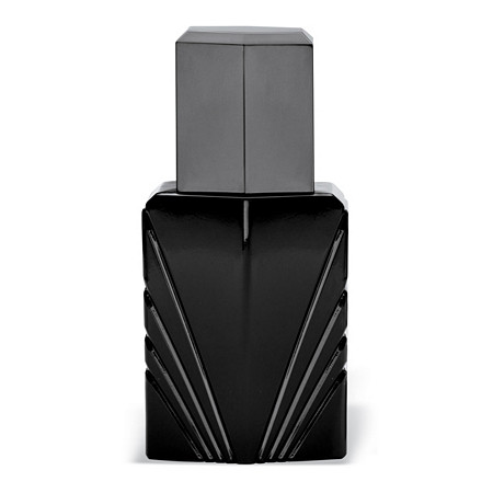Passion for Men by Elizabeth Taylor Cologne Spray 4 oz. at Direct Charge presents PalmBeach